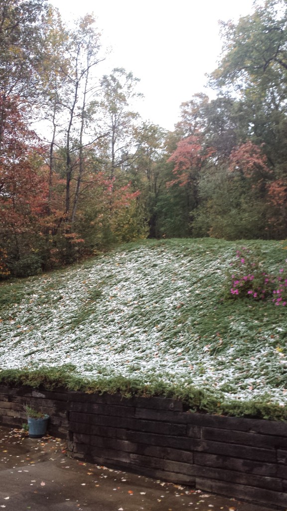 November Snow with Leaves and Azaleas